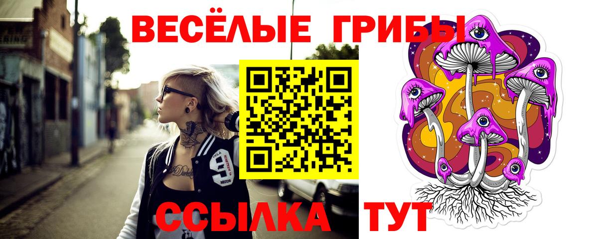 Санкт-Петербург  Псилоцибиновые грибы Psilocybe  Вход с VPN  Галлюциногенные грибы ЛСД 