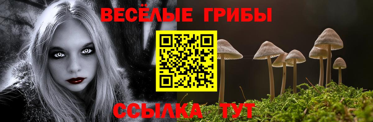 Псилоцибиновые грибы прущие грибы Санкт-Петербург